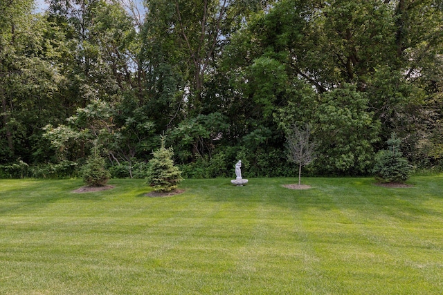 1101 Fabel Ln, Waconia, MN 55387 - view of green lawn