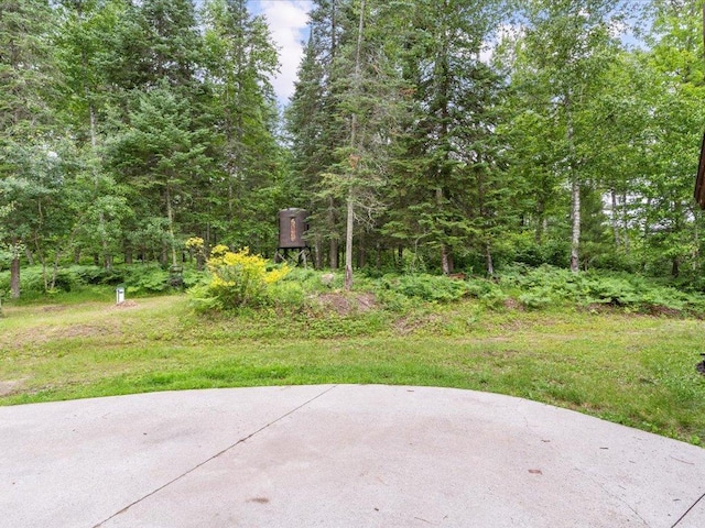 31436 Clearwater Rd, Grand Rapids, MN 55744 - photo 60