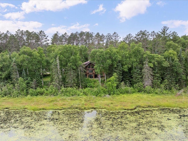 31436 Clearwater Rd, Grand Rapids, MN 55744 - photo 63