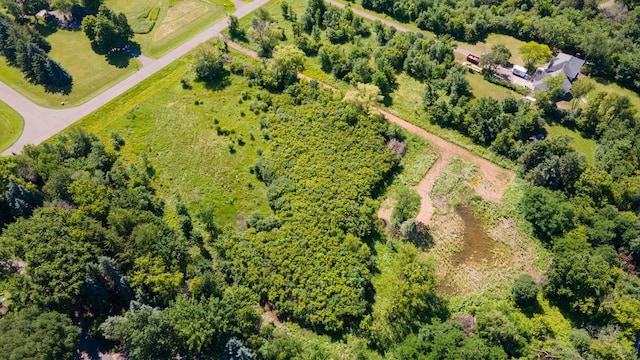 5555 Vagabond Ln N, Plymouth, MN 55446 - photo 14