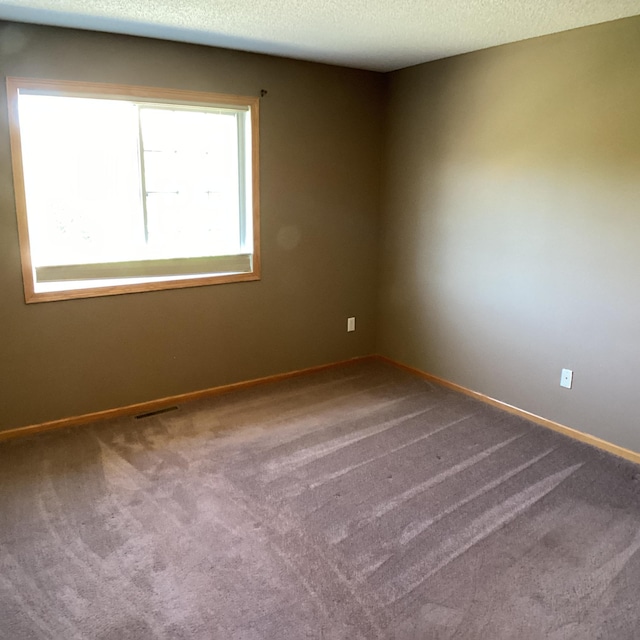 8890 Partridge Rd, Saint Bonifacius, MN 55375 - photo 9