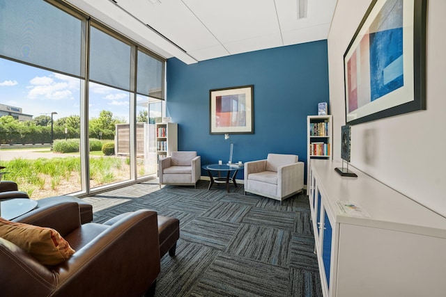 8151 33rd Ave S Unit 201, Bloomington, MN 55425 - living area featuring a wall of windows and dark colored carpet