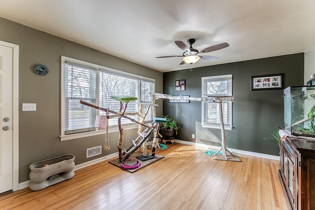 2074 Mcknight Rd N, North Saint Paul, MN 55109 - exercise room featuring wood finished floors and ceiling fan