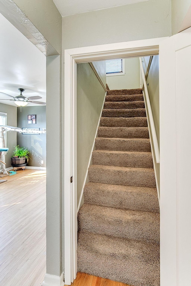 2074 Mcknight Rd N, North Saint Paul, MN 55109 - staircase featuring wood finished floors and a ceiling fan