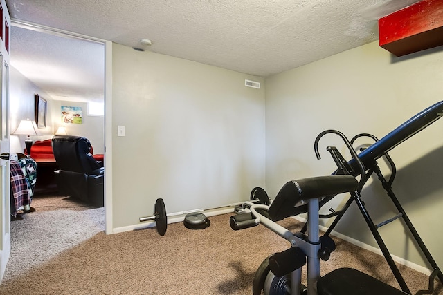 2074 Mcknight Rd N, North Saint Paul, MN 55109 - workout area featuring carpet and a textured ceiling