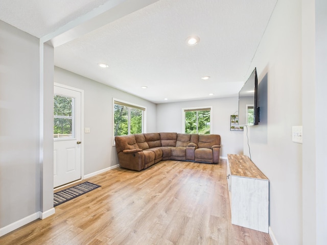 28038 State Highway 28, Glenwood, MN 56381 - photo 5