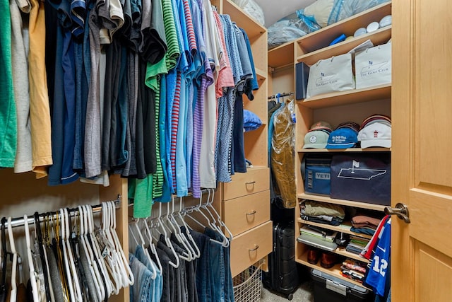 500 Grant St Unit 2109, Minneapolis, MN 55404 - view of walk in closet