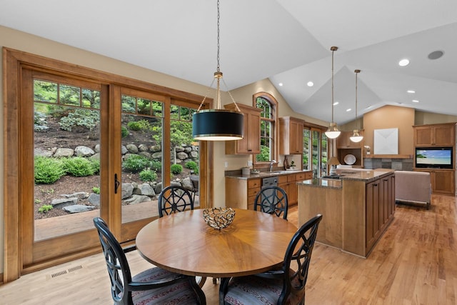 13209 Holasek Ln, Eden Prairie, MN 55346 - photo 12