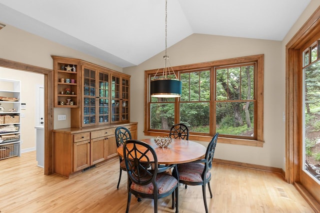 13209 Holasek Ln, Eden Prairie, MN 55346 - photo 13