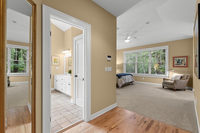 13209 Holasek Ln, Eden Prairie, MN 55346 - photo 23