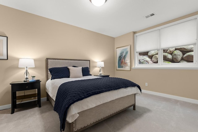 13209 Holasek Ln, Eden Prairie, MN 55346 - photo 46