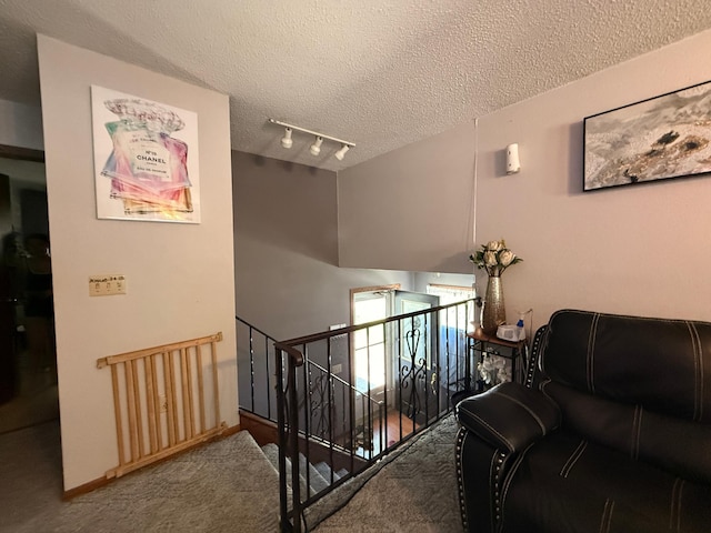 116 8th St, Montevideo, MN 56265 - photo 4