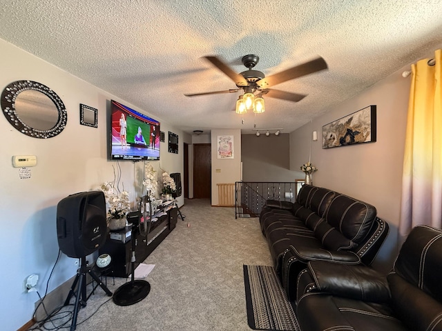 116 8th St, Montevideo, MN 56265 - photo 5
