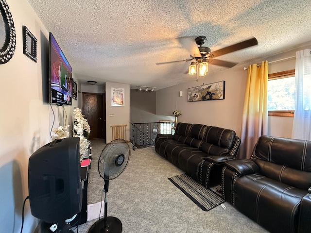 116 8th St, Montevideo, MN 56265 - photo 6