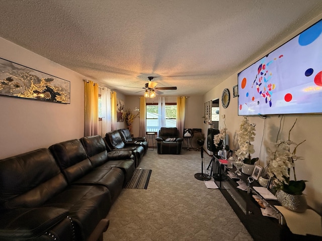 116 8th St, Montevideo, MN 56265 - photo 7