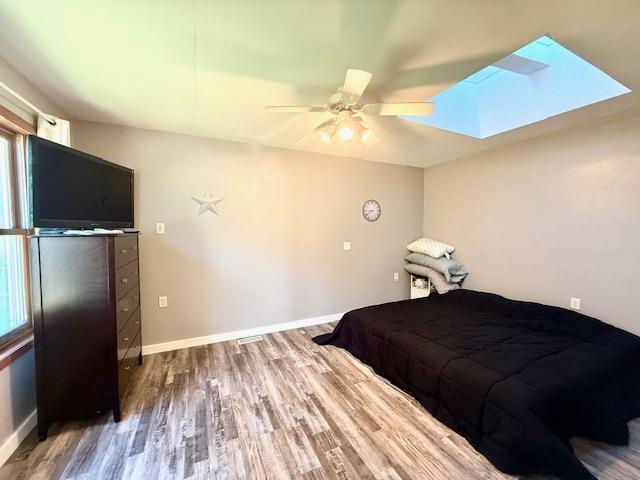 713 Grove St E, Caledonia, MN 55921 - bedroom with a skylight, wood finished floors, a ceiling fan, and multiple windows