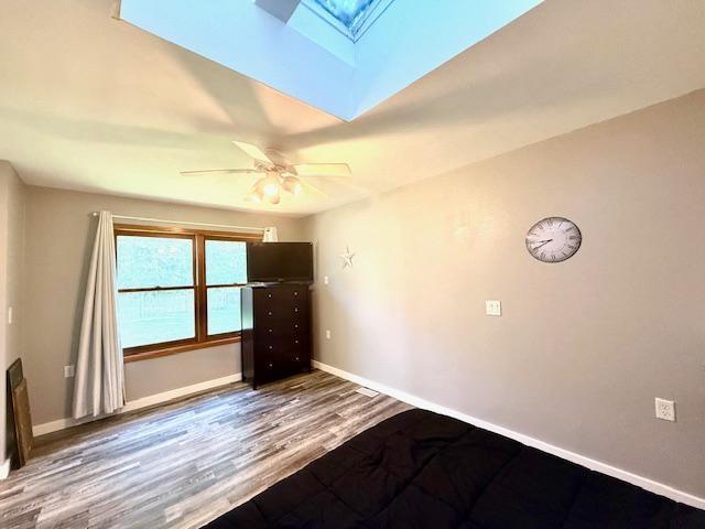 713 Grove St E, Caledonia, MN 55921 - empty room featuring wood finished floors, a skylight, and a ceiling fan
