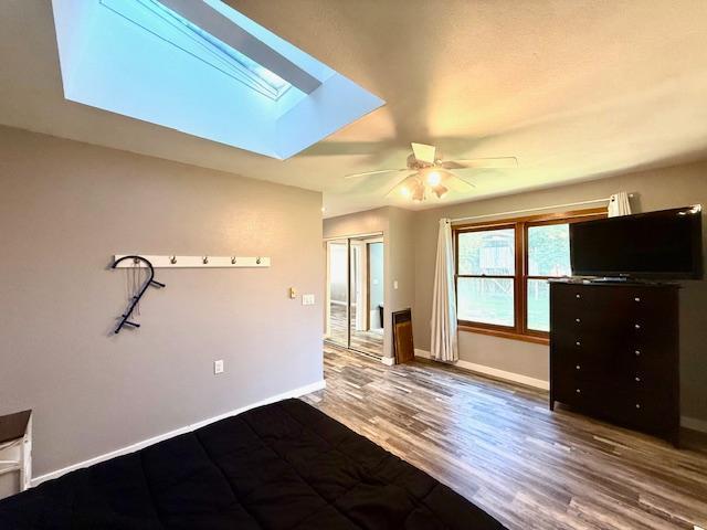713 Grove St E, Caledonia, MN 55921 - spare room with a skylight, ceiling fan, and wood finished floors
