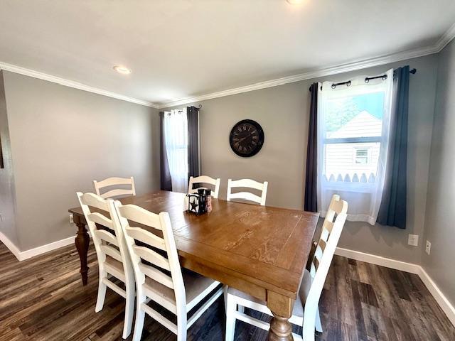 713 Grove St E, Caledonia, MN 55921 - dining area with dark wood-style flooring and ornamental molding