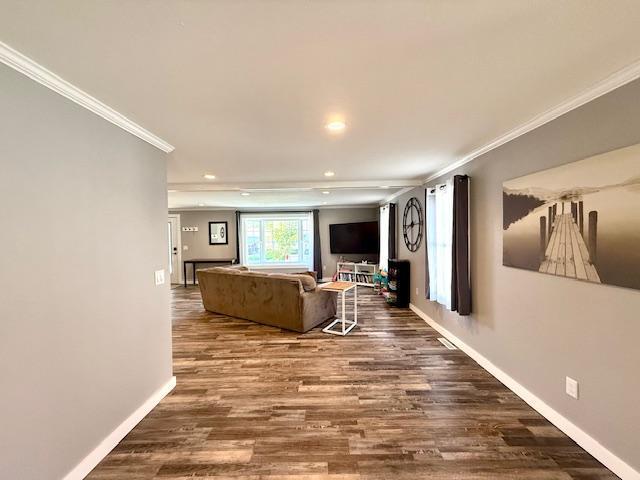 713 Grove St E, Caledonia, MN 55921 - living room with crown molding, dark wood-type flooring, and recessed lighting