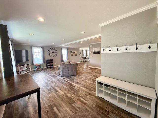 713 Grove St E, Caledonia, MN 55921 - mudroom with ornamental molding, dark wood-type flooring, and recessed lighting