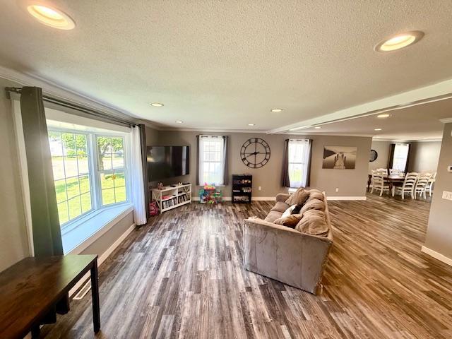 713 Grove St E, Caledonia, MN 55921 - living area featuring a textured ceiling, crown molding, wood finished floors, and recessed lighting