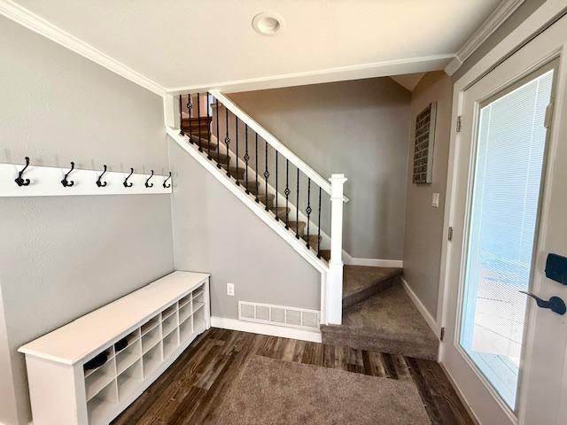 713 Grove St E, Caledonia, MN 55921 - mudroom with wood finished floors and ornamental molding