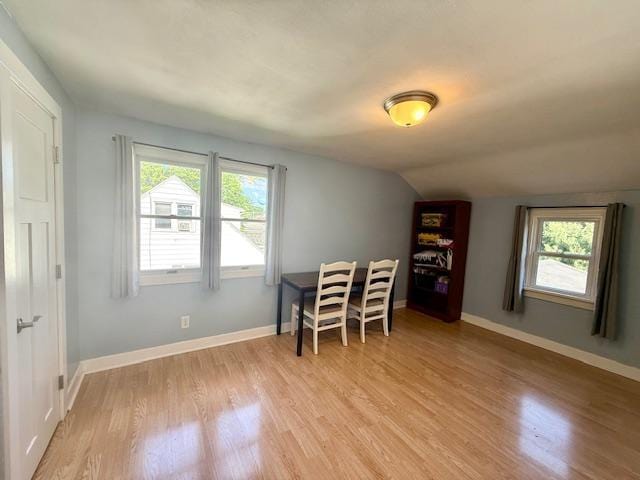 713 Grove St E, Caledonia, MN 55921 - dining room with light wood-type flooring, plenty of natural light, and lofted ceiling