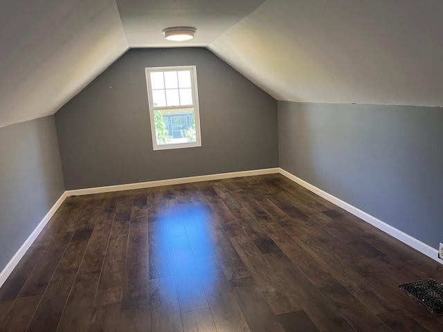 1017 Sibley Ave S, Litchfield, MN 55355 - bonus room featuring dark wood finished floors and lofted ceiling
