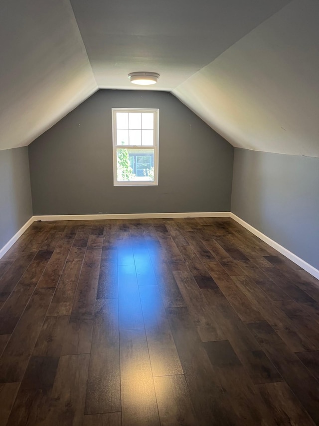 1017 Sibley Ave S, Litchfield, MN 55355 - bonus room with dark wood-type flooring and lofted ceiling