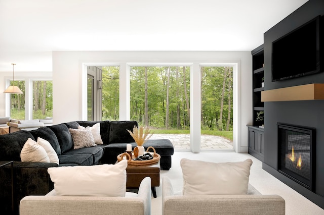 6176 Broadview Ave, Credit River Twp, MN 55372 - living area with a glass covered fireplace, built in features, and light carpet