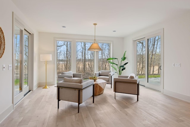 6176 Broadview Ave, Credit River Twp, MN 55372 - living room with light wood-style flooring and baseboards