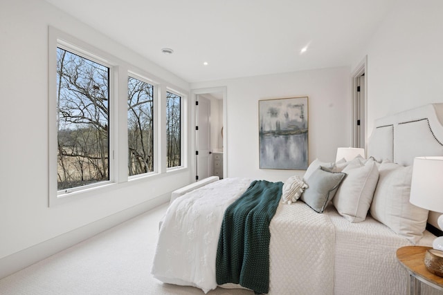 6176 Broadview Ave, Credit River Twp, MN 55372 - bedroom with recessed lighting