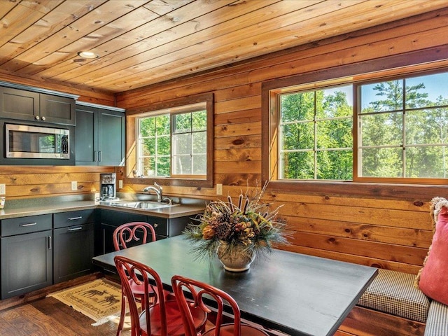 13598 Ox Cove Trl, Crosslake, MN 56442 - kitchen featuring stainless steel microwave, healthy amount of natural light, wooden ceiling, wood walls, and dark wood-style floors