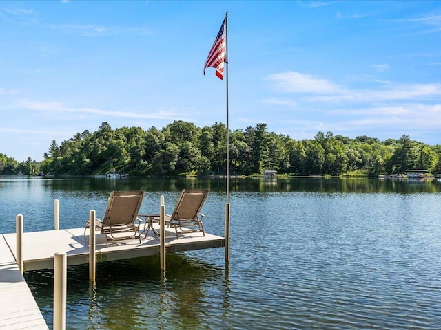 13598 Ox Cove Trl, Crosslake, MN 56442 - dock area featuring a water view and a view of trees