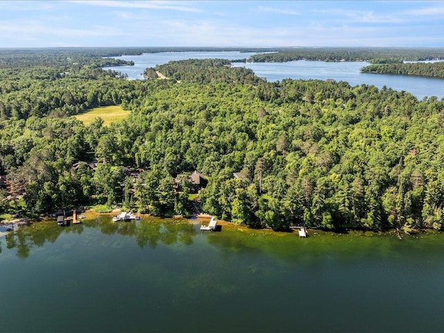 13598 Ox Cove Trl, Crosslake, MN 56442 - drone / aerial view of a nearby body of water