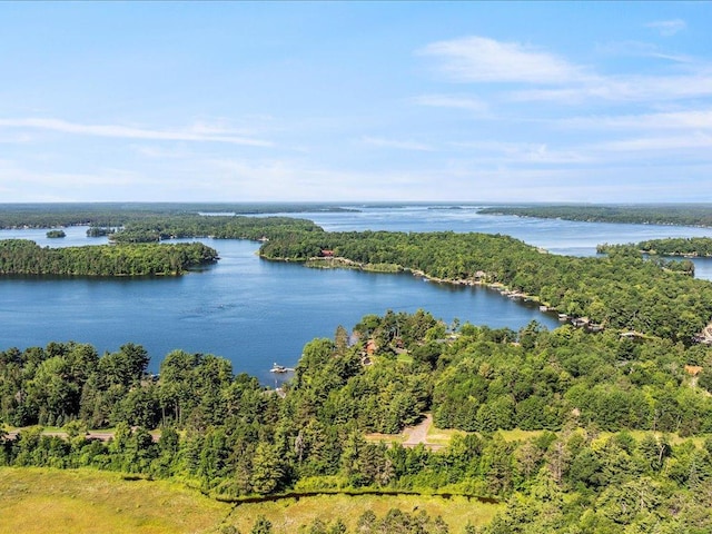 13598 Ox Cove Trl, Crosslake, MN 56442 - water view featuring a heavily wooded area