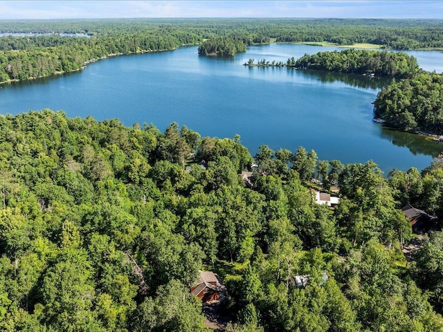 13598 Ox Cove Trl, Crosslake, MN 56442 - bird's eye view of a forest and a nearby body of water
