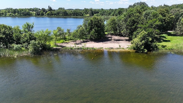 129XX W Abbey Lake Ln, Detroit Lakes, MN 56501 - photo 4