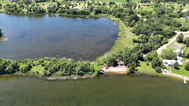 129XX W Abbey Lake Ln, Detroit Lakes, MN 56501 - photo 5