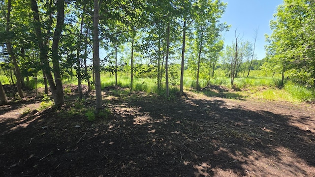 129XX W Abbey Lake Ln, Detroit Lakes, MN 56501 - photo 12