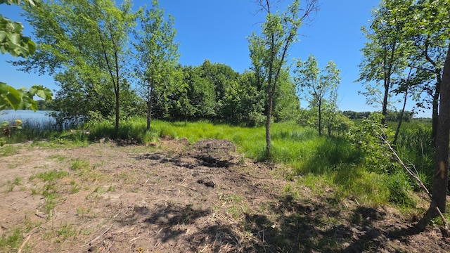 129XX W Abbey Lake Ln, Detroit Lakes, MN 56501 - photo 13