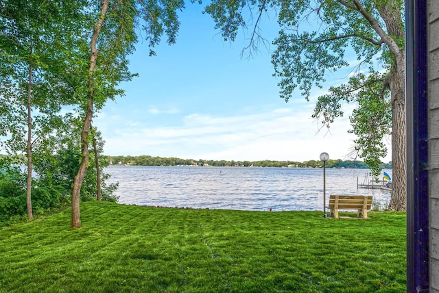 2006 Shorewood Ln, Mound, MN 55364 - photo 64