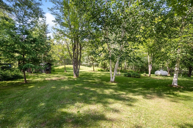 589 Seboe Rd, Wrenshall Twp, MN 55797 - view of grassy yard