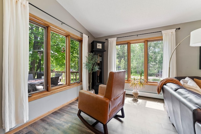 589 Seboe Rd, Wrenshall Twp, MN 55797 - living area featuring lofted ceiling, a baseboard radiator, healthy amount of natural light, and light wood-type flooring