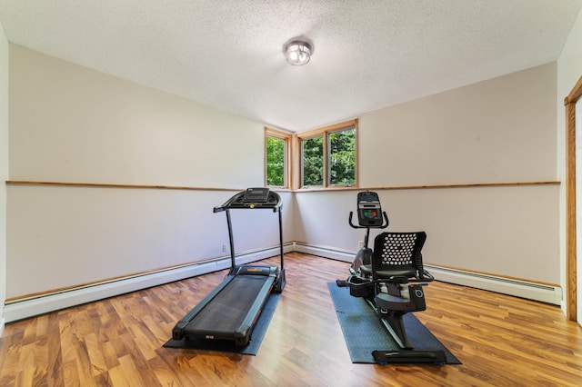 589 Seboe Rd, Wrenshall Twp, MN 55797 - exercise room featuring baseboard heating, wood finished floors, a textured ceiling, and vaulted ceiling