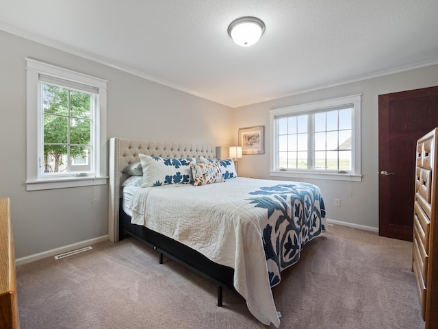 27842 Prairie Rose Rd, Elbow Lake, MN 56531 - carpeted bedroom with ornamental molding
