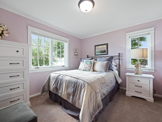 27842 Prairie Rose Rd, Elbow Lake, MN 56531 - bedroom featuring multiple windows, carpet flooring, and ornamental molding