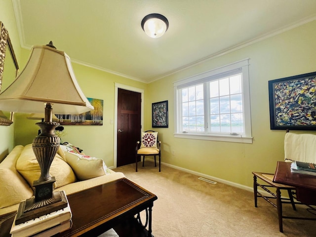 27842 Prairie Rose Rd, Elbow Lake, MN 56531 - sitting room with crown molding and carpet