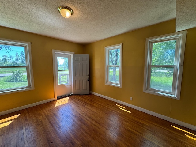 17864 County Road 66 NE, Eagle Bend, MN 56446 - unfurnished room with wood-type flooring and a textured ceiling